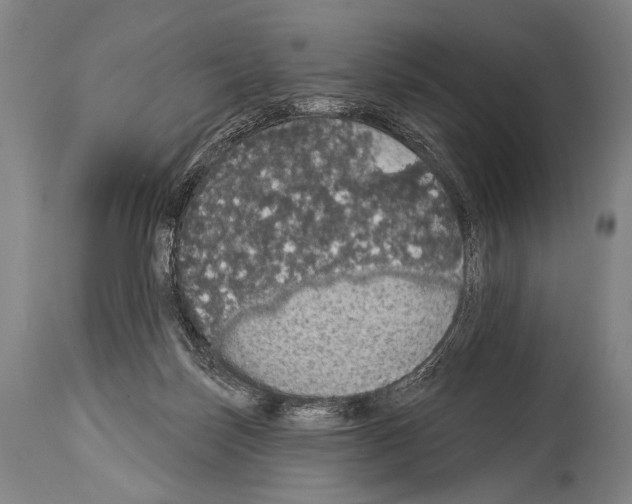 X0000113980171200911131103