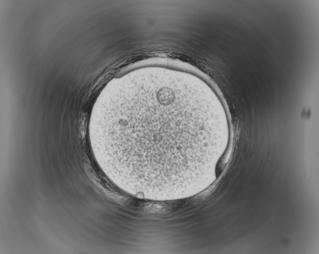 X0000113980174200911131103