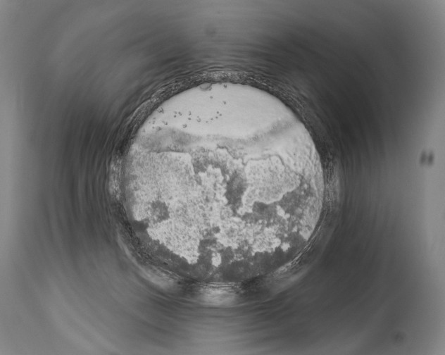 X0000113980175200911131103