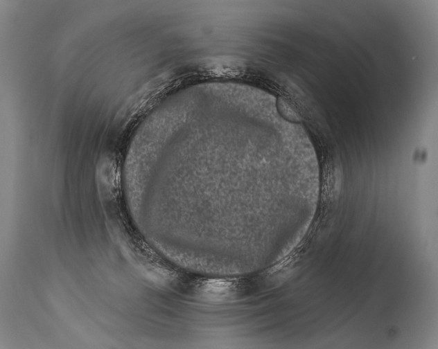 X0000113980176200911131104