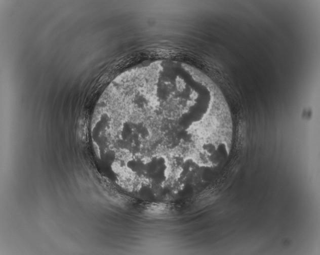 X0000113980177200911131104