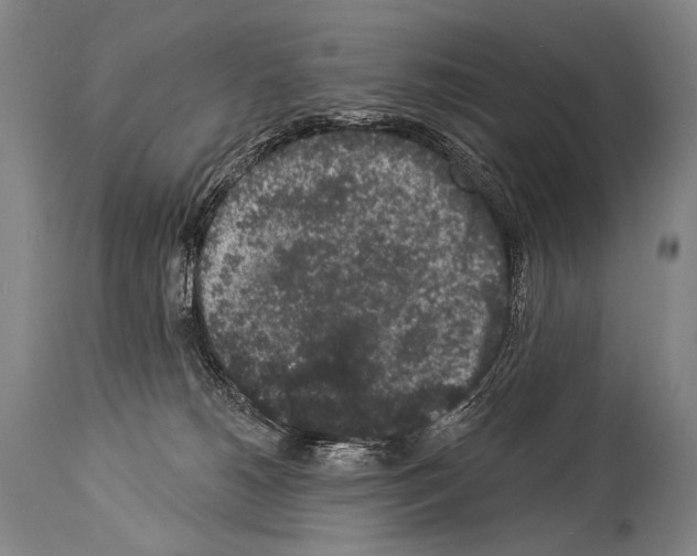 X0000113980180200911131104