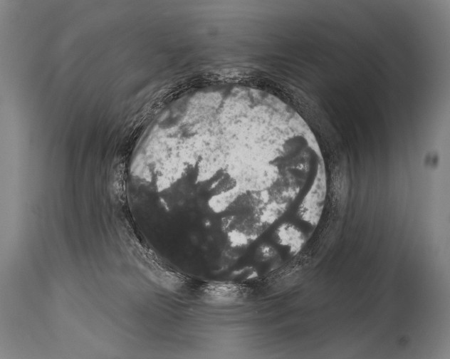 X0000113980181200911131104