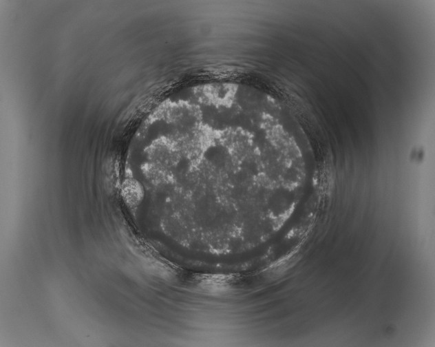 X0000113980182200911131104