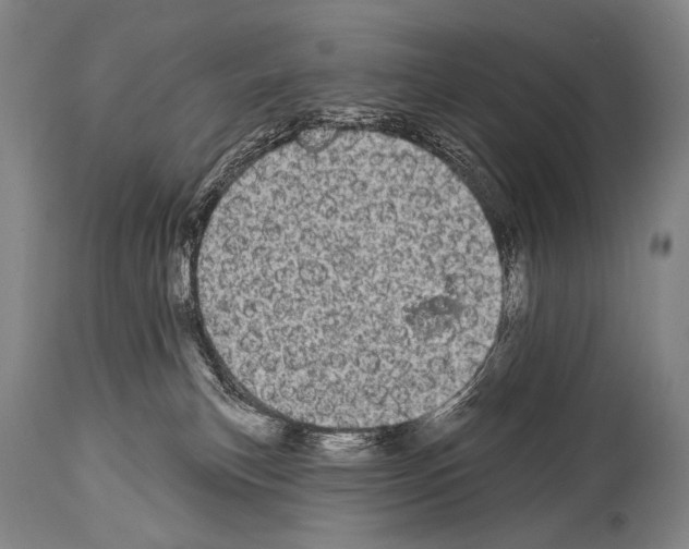 X0000113980183200911131104