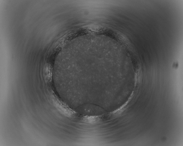 X0000113980186200911131104