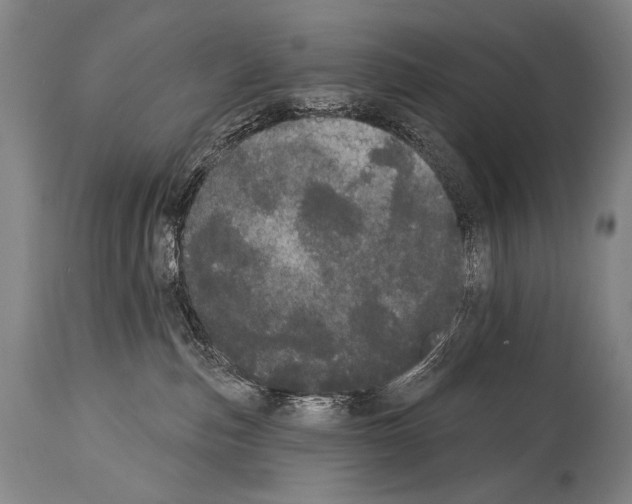 X0000113980187200911131104