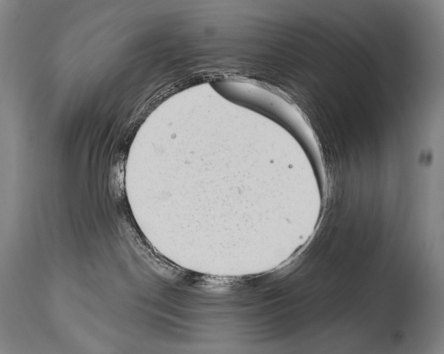 X0000113980190200911131104