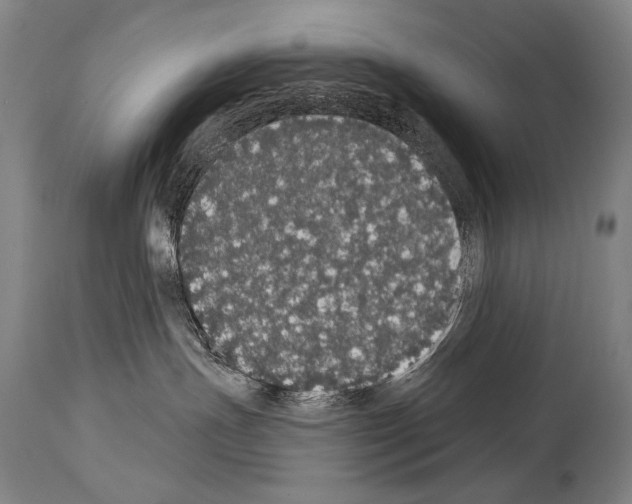 X0000113980191200911131104
