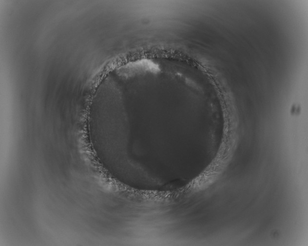 X0000113980192200911131104