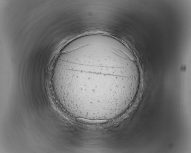 X0000113980193200911131103