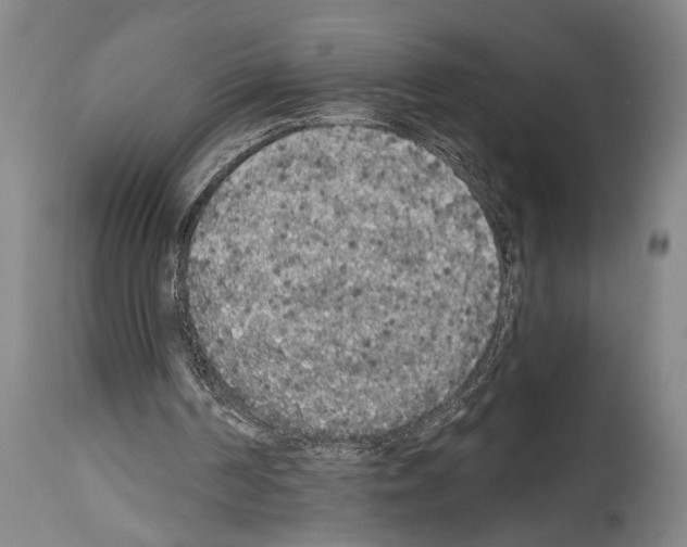 X0000113980194200911131103