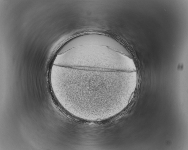 X0000113980197200911131103