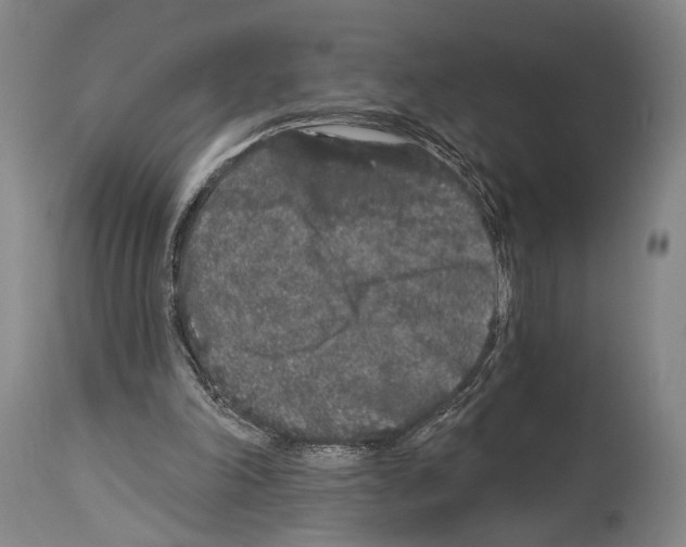 X0000113980198200911131103