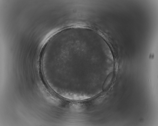 X0000113980199200911131103