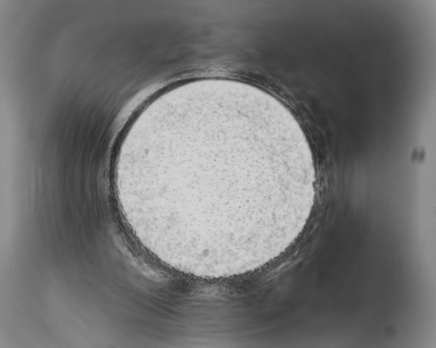 X0000113980200200911131103