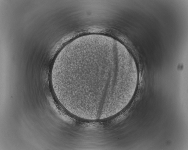 X0000113980201200911131103