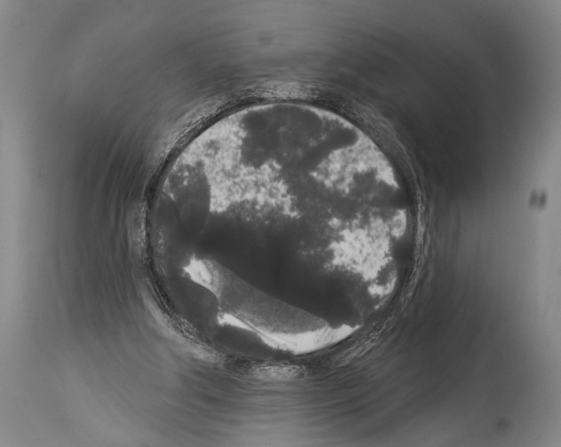 X0000113980202200911131103