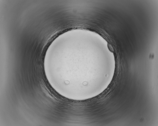 X0000113980203200911131103