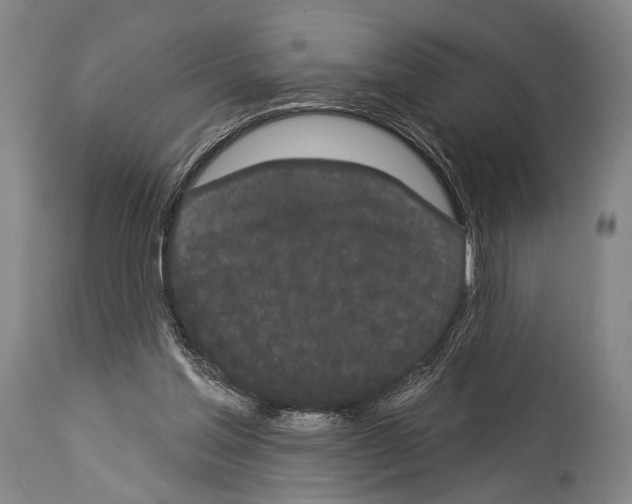 X0000113980205200911131103