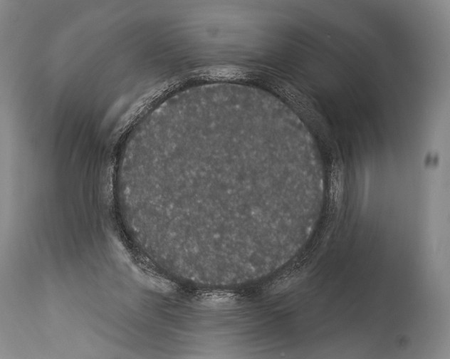 X0000113980206200911131103