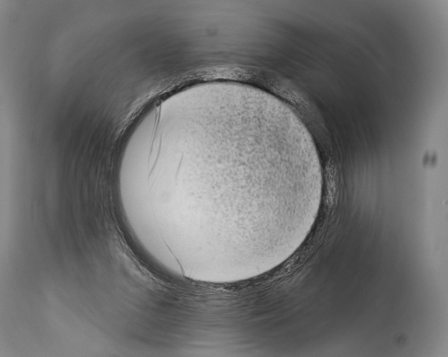 X0000113980207200911131103