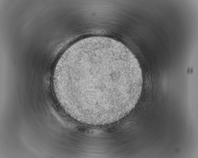 X0000113980208200911131103