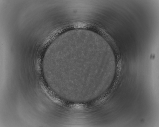 X0000113980209200911131103