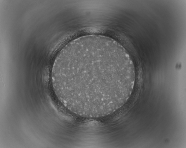 X0000113980210200911131103