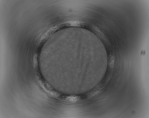 X0000113980213200911131103