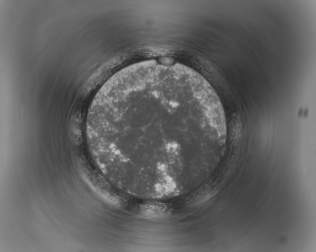 X0000113980215200911131103