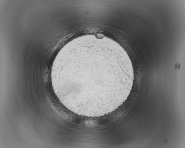X0000113980216200911131103