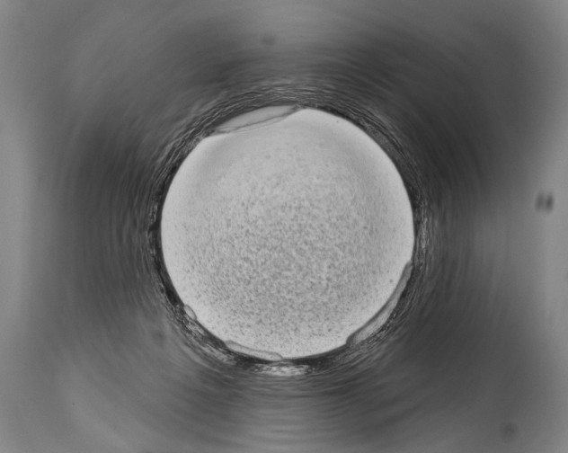 X0000113980217200911131103