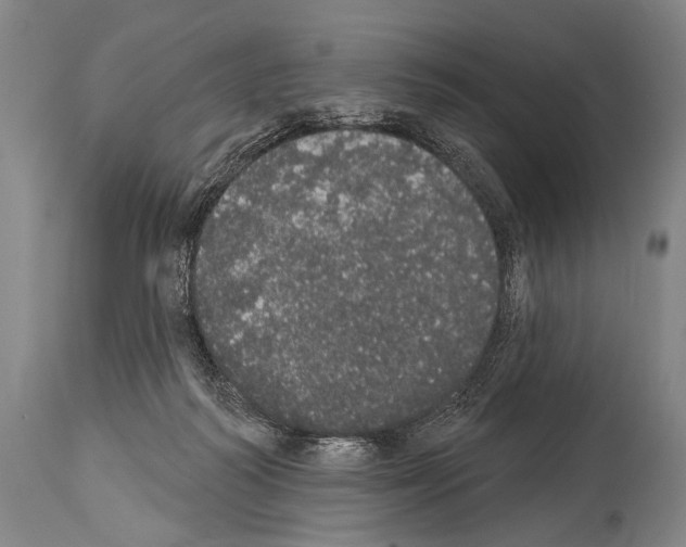 X0000113980218200911131103