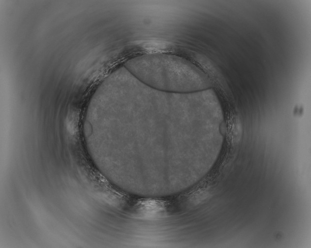 X0000113980221200911131103