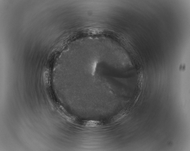X0000113980222200911131103