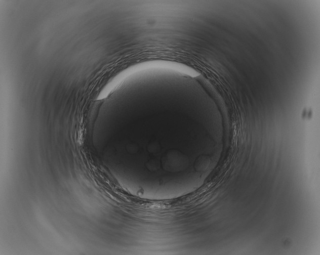 X0000113980223200911131103
