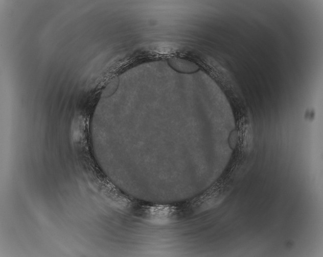 X0000113980225200911131103