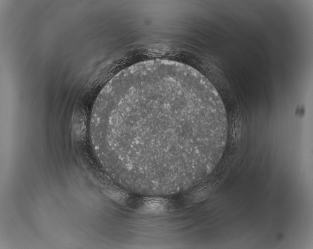 X0000113980226200911131103