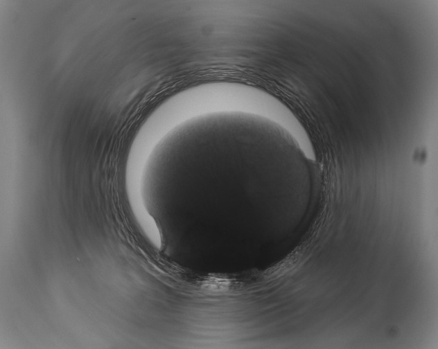 X0000113980227200911131102