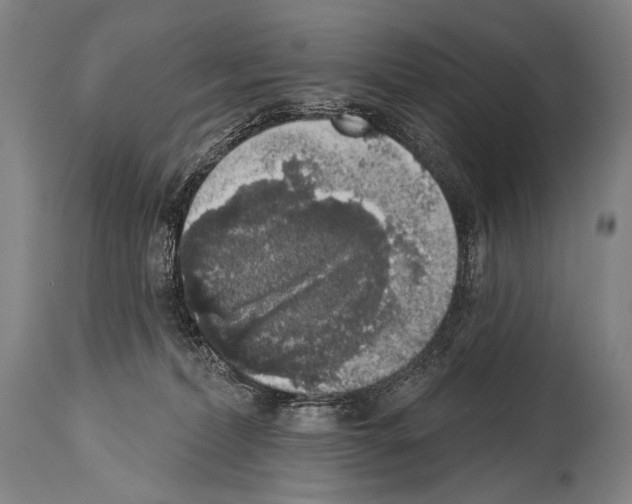 X0000113980228200911131102