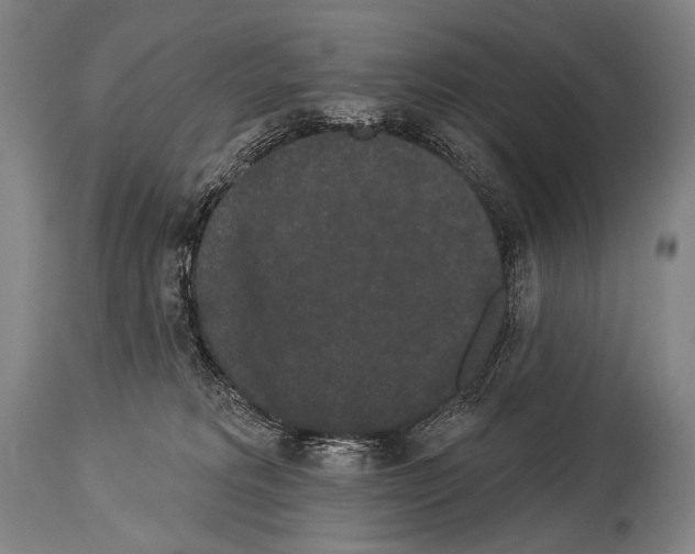 X0000113980229200911131102