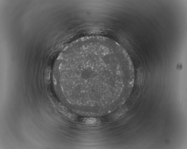 X0000113980230200911131102