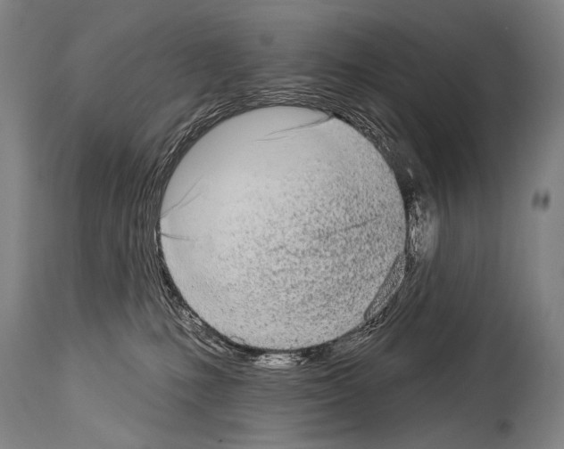 X0000113980231200911131102