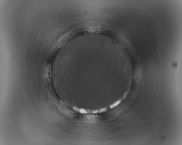 X0000113980233200911131102
