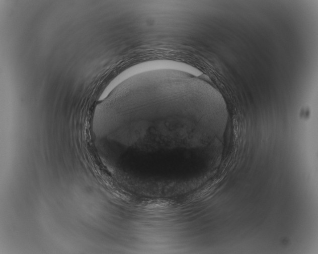 X0000113980235200911131102