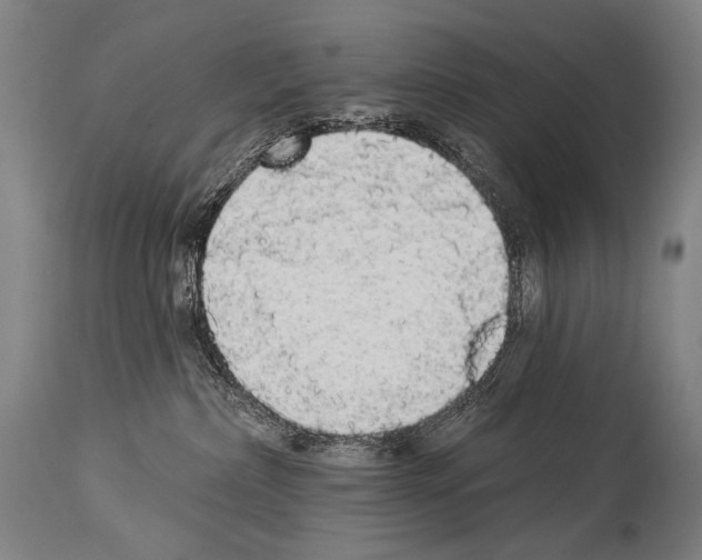 X0000113980236200911131102