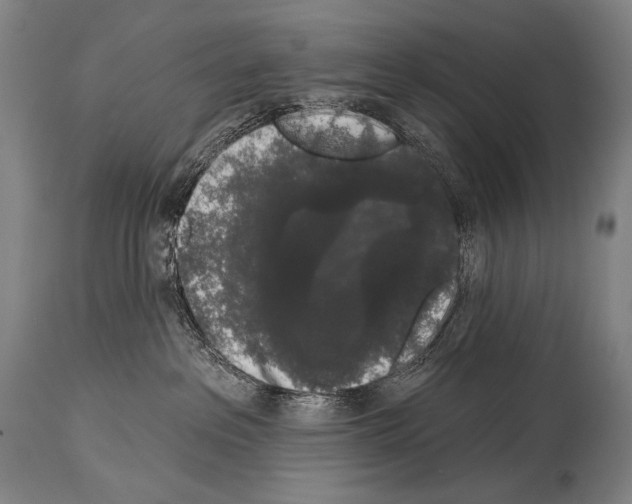 X0000113980237200911131102