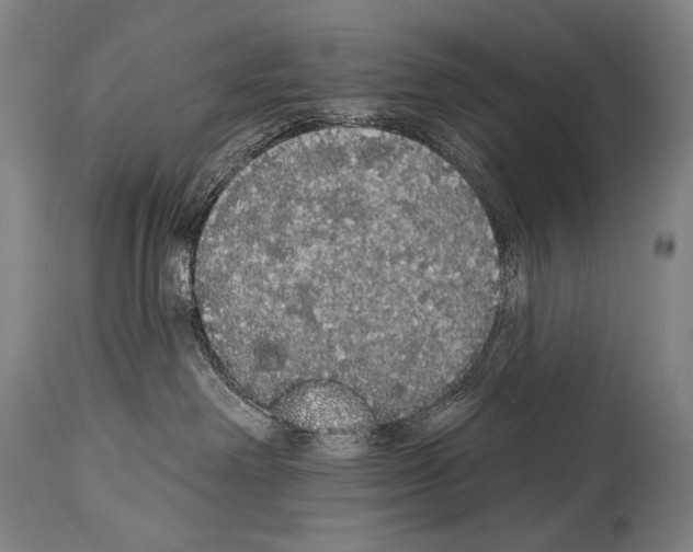 X0000113980238200911131102
