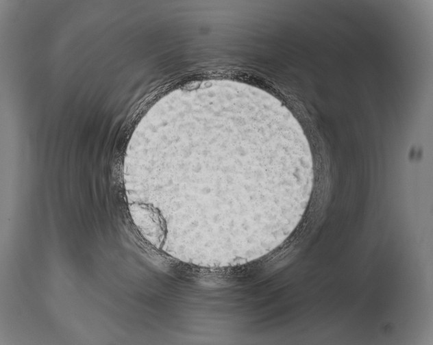 X0000113980240200911131102